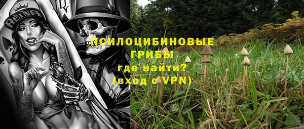первитин Армянск
