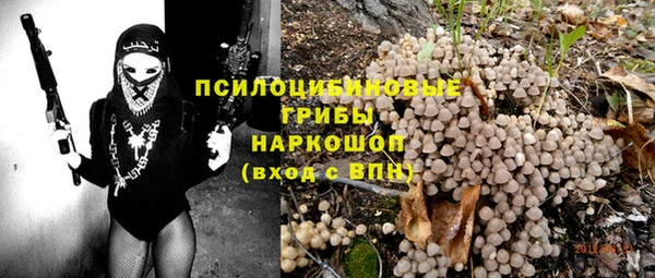 крисы Арсеньев
