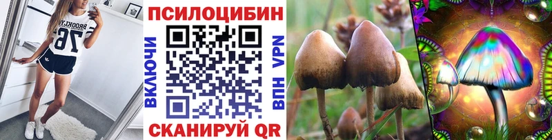 Галлюциногенные грибы GOLDEN TEACHER Армянск