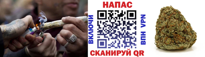 купить  сайты  Армянск  Конопля ГИДРОПОН 